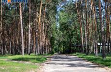 Желтый уровень опасности продлили в Воронежской области из-за угрозы возгораний