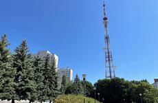 Воронежская полиция трогательно поздравила горожан с Днем семьи, любви и верности