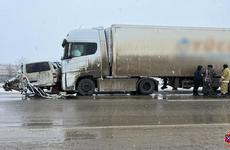 Под Волгоградом иномарка врезалась в дерево: водитель в больнице
