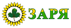 Газета-Заря 31